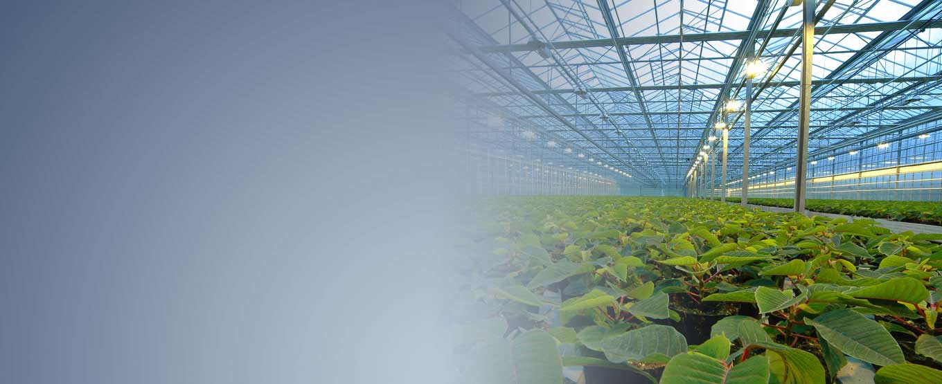 Greenhouse Monitoring Monnit Corp.