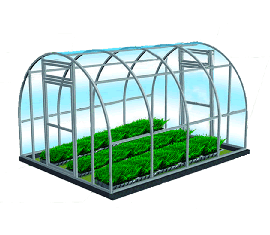 Greenhouse